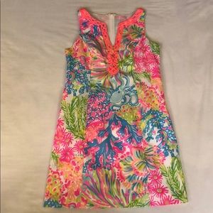 Lily 🧡💙Lovers Coral